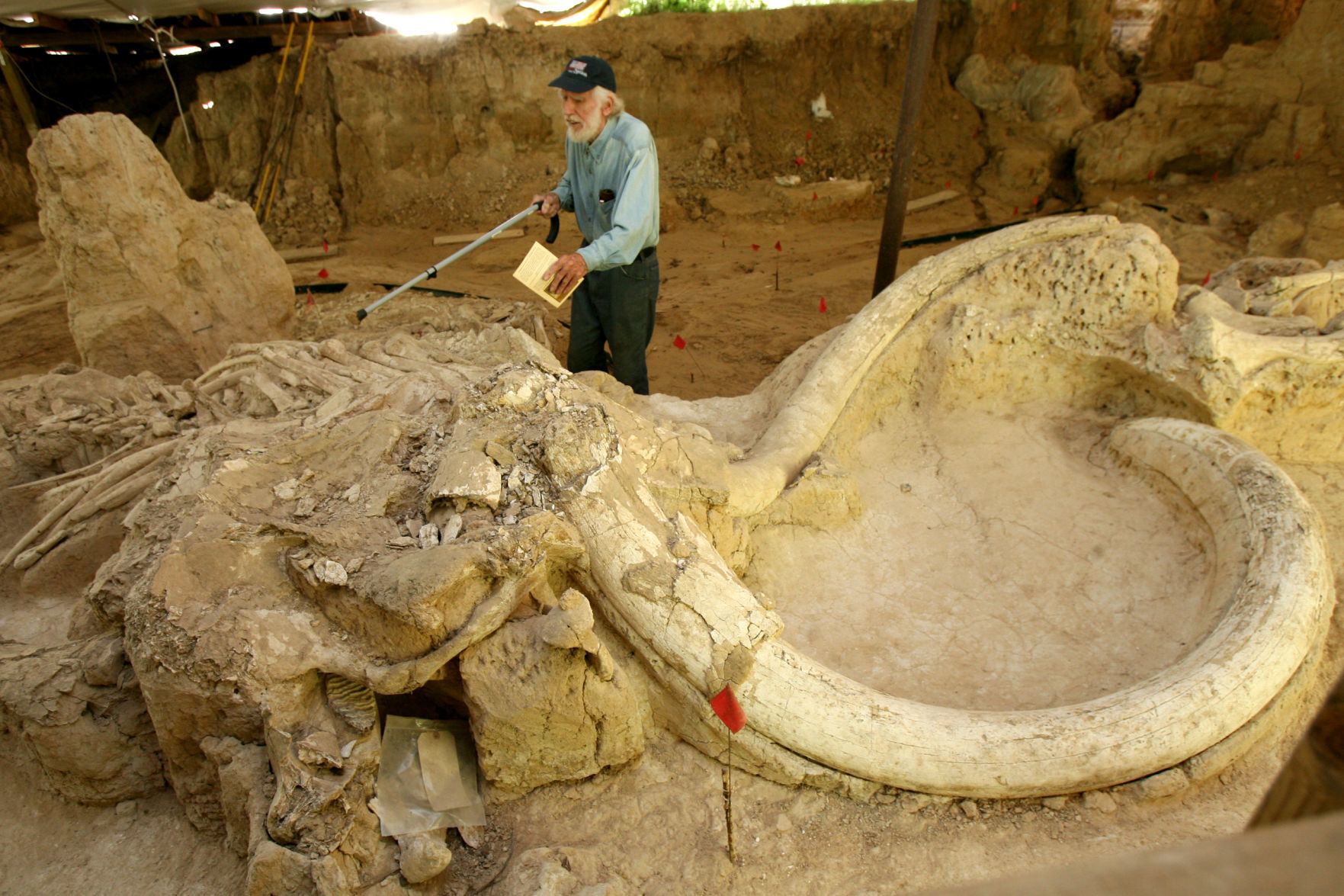 mammoth